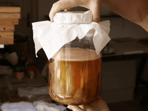 Home-brewed kombucha in a glass jar with paper towel cover, depicting the use of EasyDens by Anton Paar Digital Density Meter in monitoring kombucha fermentation.