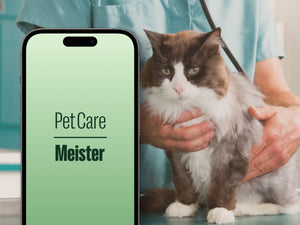 Pet Care Meister App - the smart way to monitor your pet's health