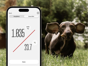 Urine specific gravity monitoring of your pet with the SmartRef Refractometer