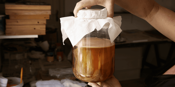 Kombucha brew in the fermentation process, covered with a paper towel, showing the fermentation density analysis by EasyDens by Anton Paar Digital Density Meter for Kombucha.